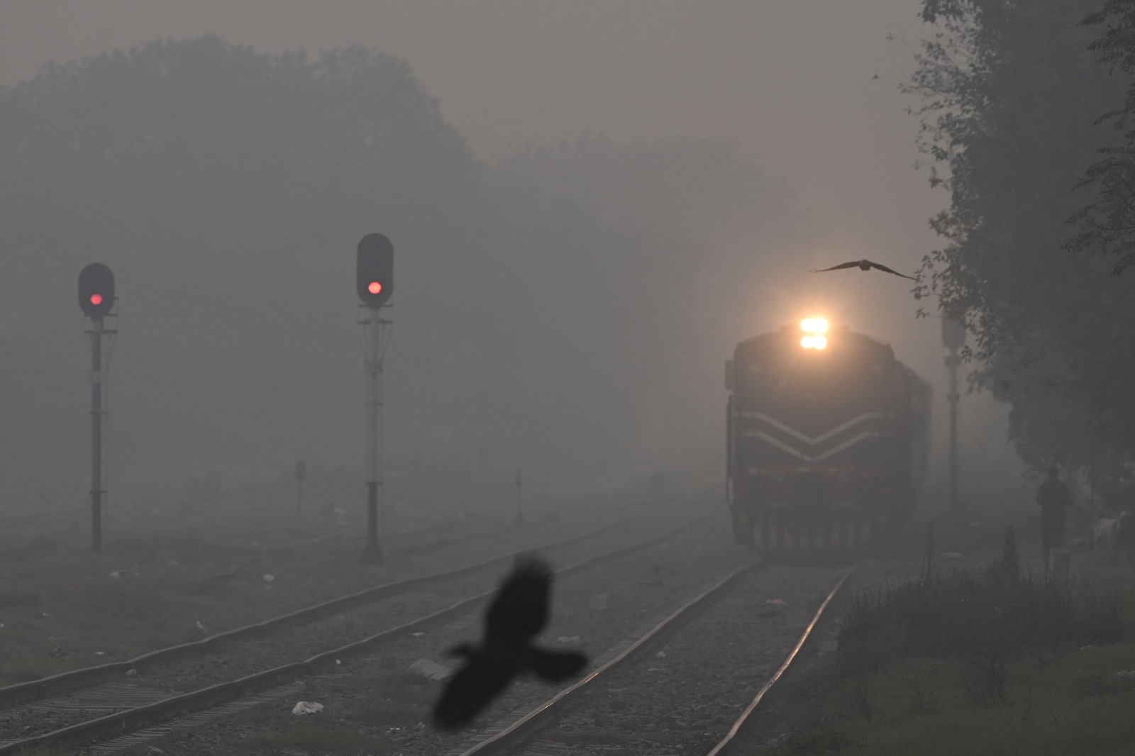 Pakistan battles severe smog as Indian crop burning intensifies air crisis